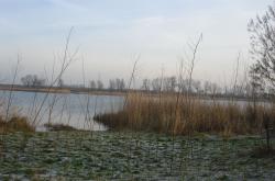 Zmiany nad jeziorami w ramach ochrony środowiska