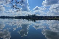 Wyniki konkursu