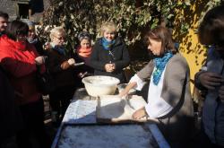 Dni Karpia 2013