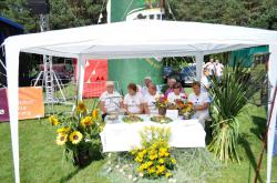 Zdrowa Ryba 2012